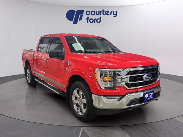 2023 Ford F-150 XL for sale in Norfolk, NE