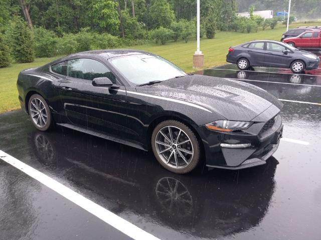 2019 Ford Mustang EcoBoost for sale in Galesburg, MI