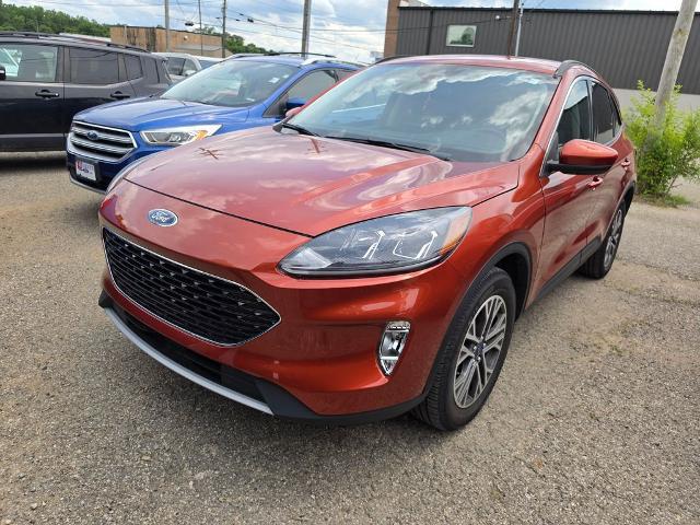 2020 Ford Escape SEL for sale near Chillicothe, OH