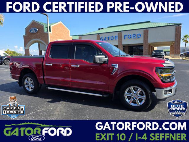 2024 Ford F-150 XLT for sale in Seffner, FL