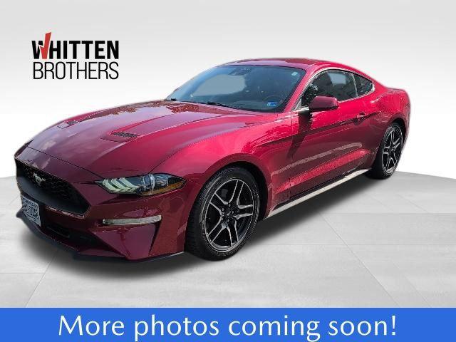 2022 Ford Mustang EcoBoost Fastback 2022 Ford Mustang EcoBoost Fastback
