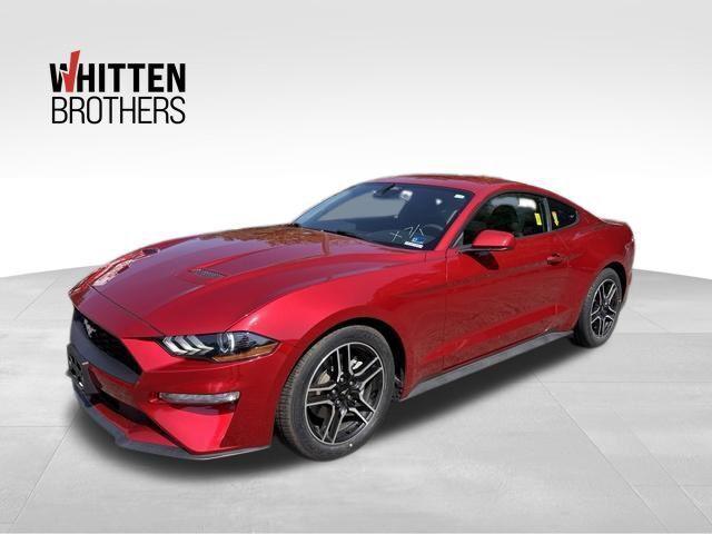 2022 Ford Mustang EcoBoost Fastback