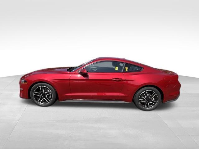 2022 Ford Mustang EcoBoost Fastback
