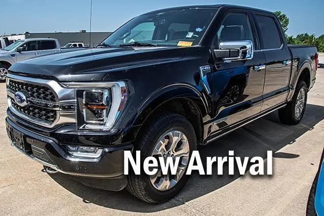 2021 Ford F-150 Platinum for sale in Quincy, IL