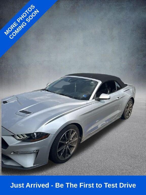 2019 Ford Mustang EcoBoost Premium 2019 Ford Mustang EcoBoost Premium