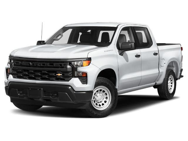 2024 Chevrolet Silverado 1500 4WD Crew Cab Short Bed LT Trail Boss for sale in Tampa, FL