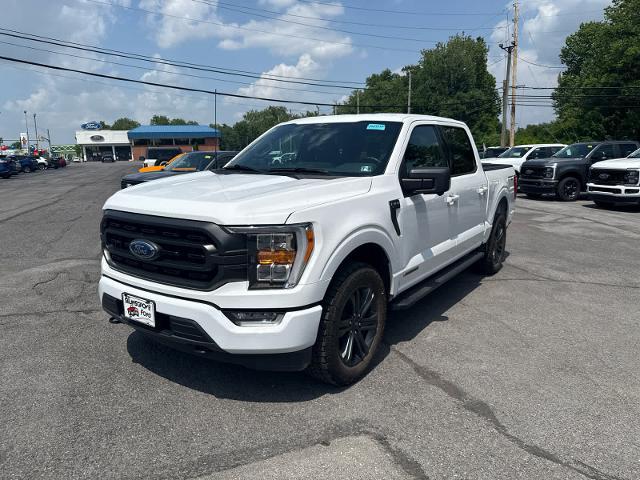 2023 Ford F-150 XLT for sale in Selinsgrove, PA