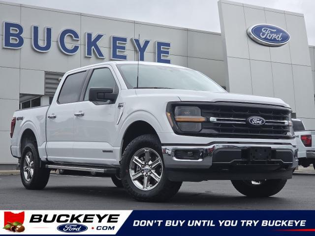 2025 Ford F-150 XLT for sale near London, OH