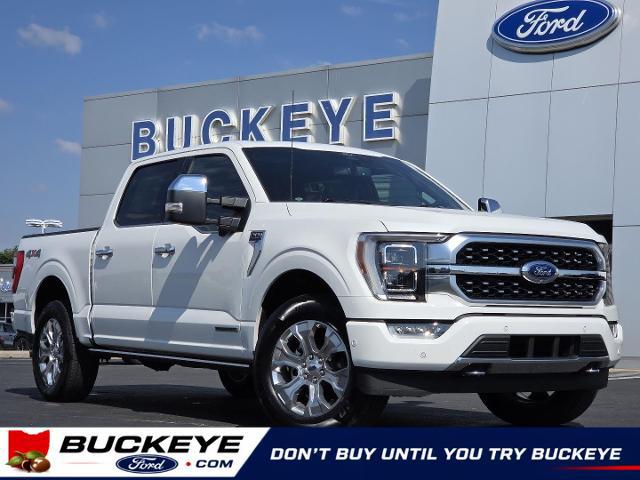 2022 Ford F-150 Platinum for sale near London, OH