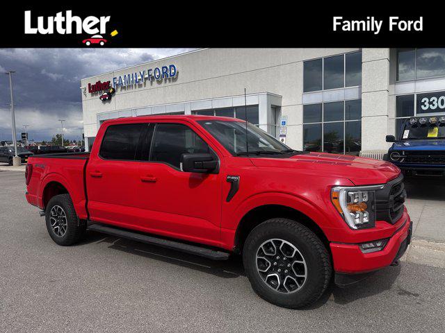 2023 Ford F-150 XLT for sale in Fargo, ND