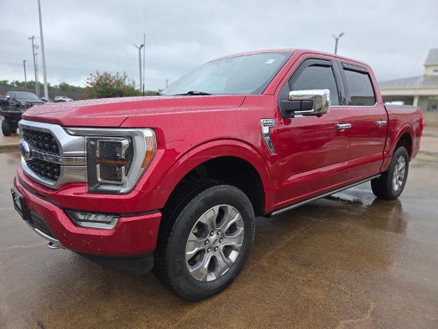 2021 Ford F-150 Platinum for sale in Columbus, TX