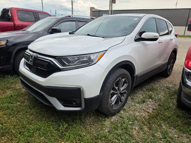 2022 Honda CR-V for sale near Chillicothe, OH