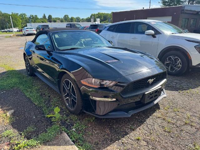 2019 Ford Mustang EcoBoost Premium for sale in New Lexington, OH