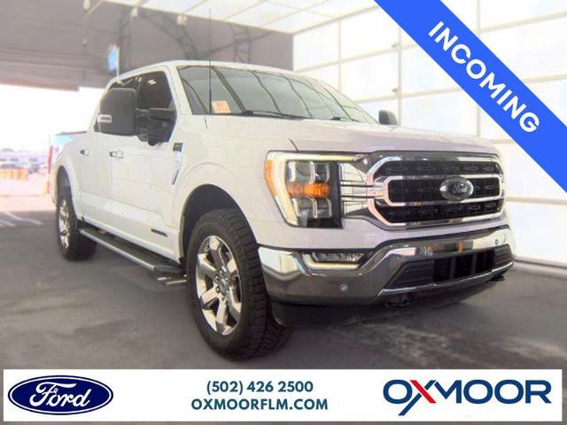 2023 Ford F-150 XLT for sale in Louisville, KY