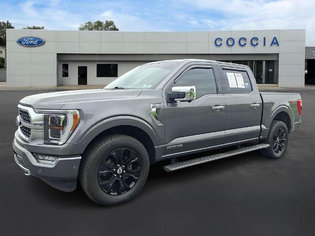 2021 Ford F-150 Platinum for sale in BEAR CRK TWP, PA