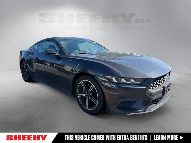 2024 Ford Mustang EcoBoost Fastback for sale in Gaithersburg, MD