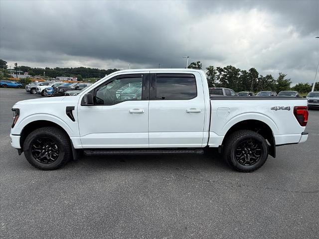 2025 Ford F-150 XLT for sale in Dandridge, TN