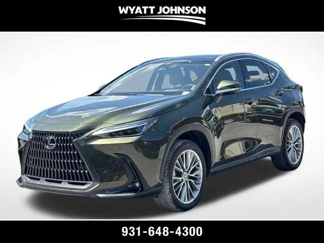 2025 Lexus NX 350 Luxury for sale in Clarksville, TN