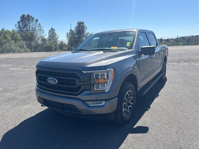 2023 Ford F-150 XLT for sale in Sonora, CA