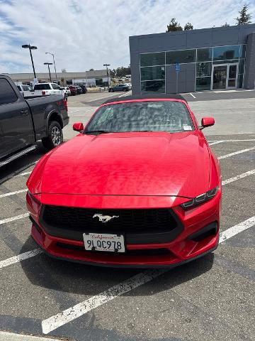 2024 Ford Mustang EcoBoost Premium Convertible for sale in Livermore, CA