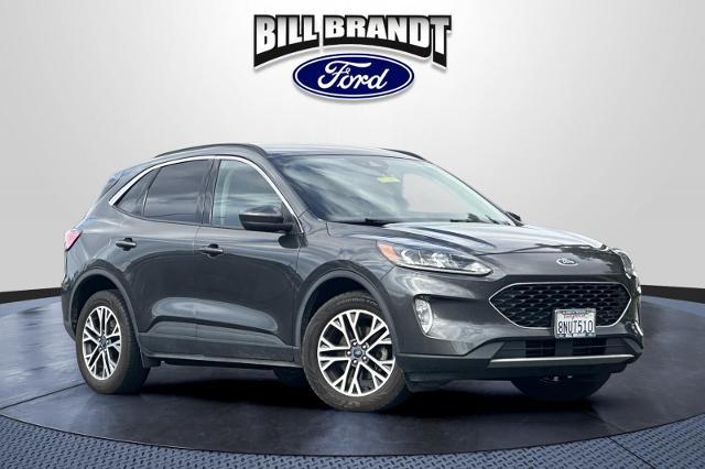 2020 Ford Escape SEL for sale in Brentwood, CA