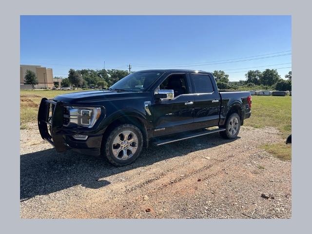 2023 Ford F-150 Platinum for sale in South Boston, VA