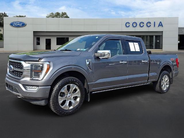 2021 Ford F-150 Platinum for sale in BEAR CRK TWP, PA