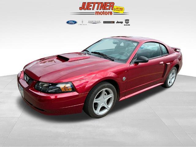 2004 Ford Mustang Unknown for sale in Alexandria, MN