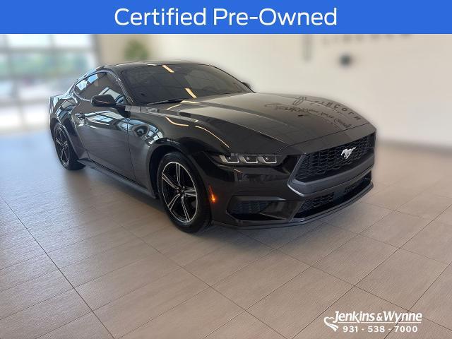 2024 Ford Mustang EcoBoost Fastback for sale in Clarksville, TN