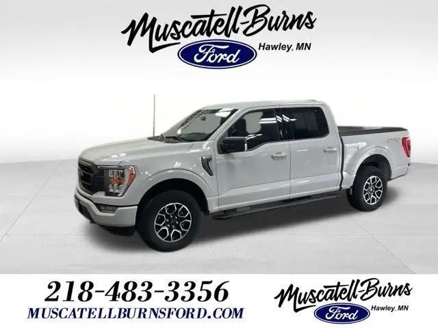2023 Ford F-150 XLT for sale in Hawley, MN