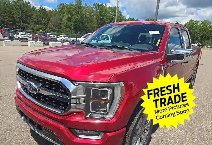 2023 Ford F-150 Platinum for sale in Charles City, IA