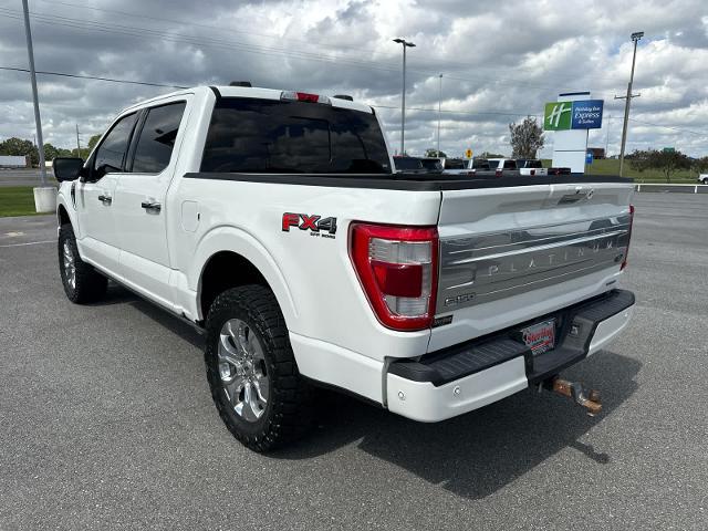 2023 Ford F-150 Platinum