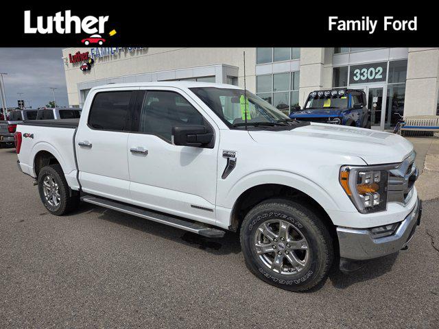 2023 Ford F-150 XLT for sale in Fargo, ND