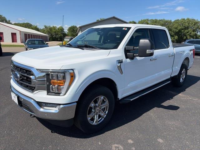 2023 Ford F-150 XLT for sale in Sauk Centre, MN