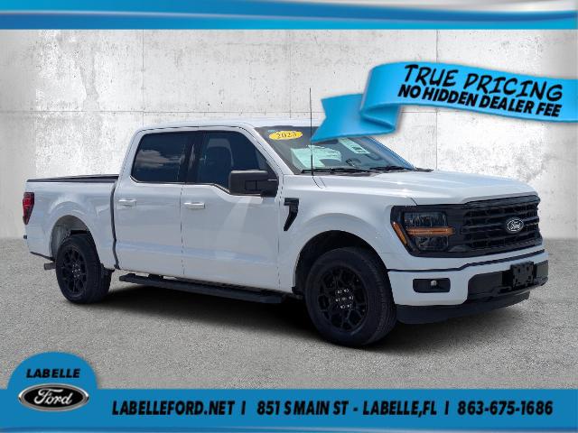 2025 Ford F-150 XLT for sale in FT DENAUD, FL