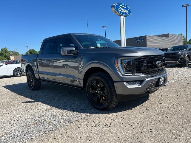2023 Ford F-150 Platinum for sale in Marble Hill, MO