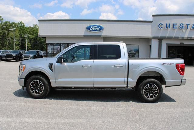 2023 Ford F-150 XLT for sale in Dahlonega, GA