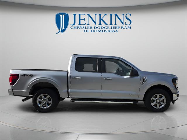 2024 Ford F-150 XLT for sale in HOMOSASSA, FL