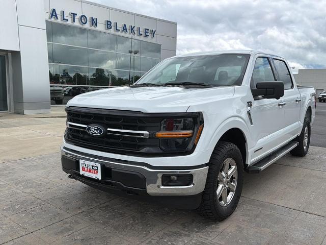 2024 Ford F-150 XLT for sale in Somerset, KY
