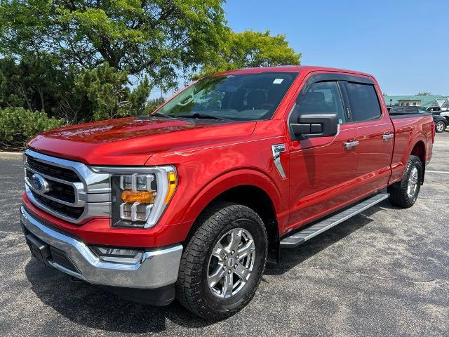 2023 Ford F-150 XLT for sale in Elma, NY