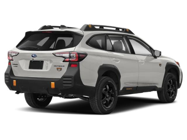 2023 Subaru Outback Wilderness 2023 Subaru Outback Wilderness