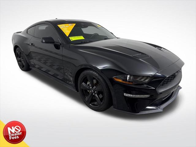 2022 Ford Mustang EcoBoost Fastback for sale in CLERMONT, FL
