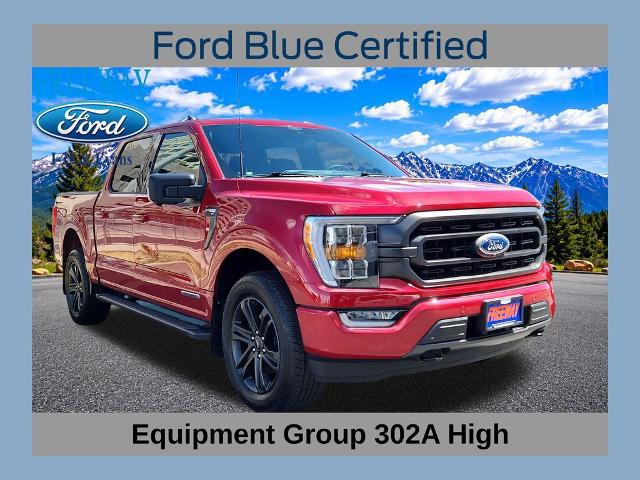 2021 Ford F-150 XLT for sale in Denver, CO