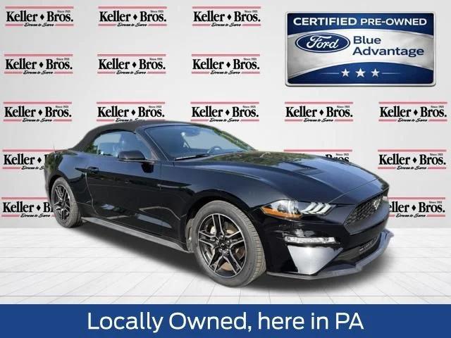 2019 Ford Mustang EcoBoost Premium 2019 Ford Mustang EcoBoost Premium