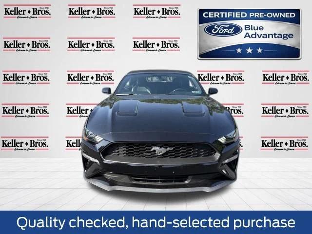 2019 Ford Mustang EcoBoost Premium 2019 Ford Mustang EcoBoost Premium