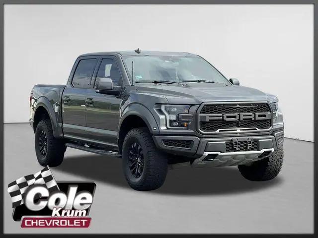 2019 Ford F-150 Raptor for sale in Schoolcraft, MI