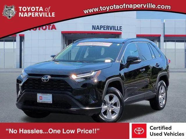 2025 Toyota RAV4 XLE for sale in Naperville, IL