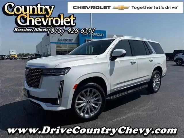 2023 Cadillac Escalade 4WD Premium Luxury for sale in Herscher, IL