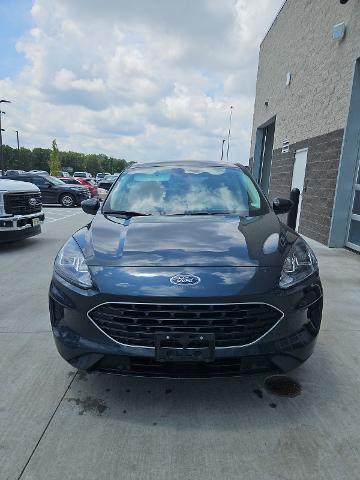2022 Ford Escape SE for sale in Wentzville, MO
