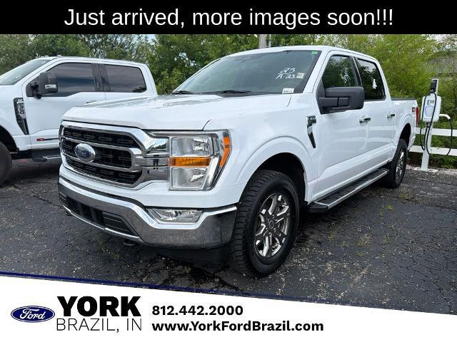 2023 Ford F-150 XLT for sale in Brazil, IN